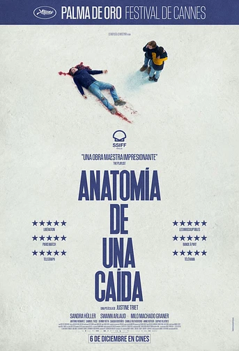 Poster de Anatomía de una caída