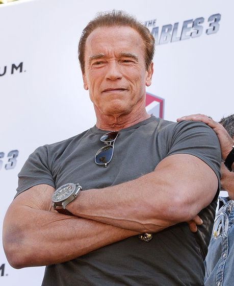 Arnold Schwarzenegger en Los Mercenarios 3 (Cannes 2014)