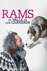 poster of movie Rams: El Valle de los carneros
