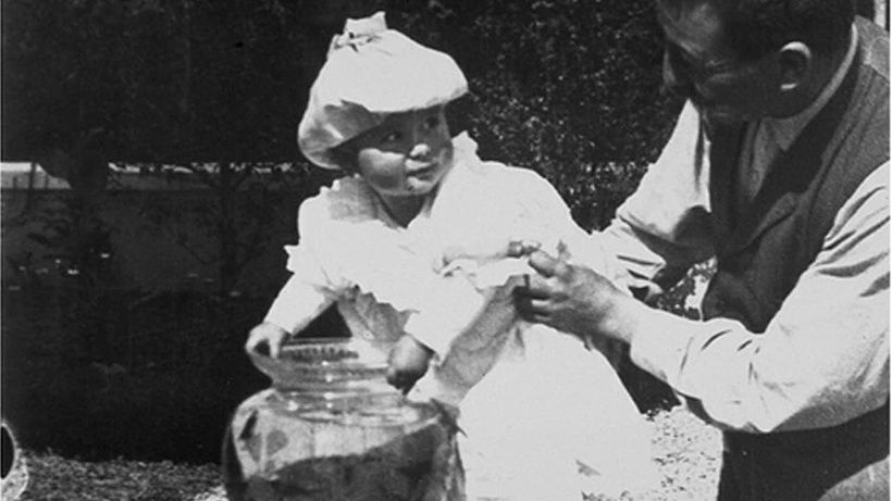 Imagen de La pêche aux poissons rouges