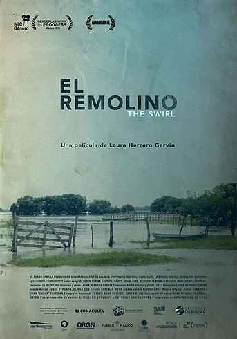 Poster de El Remolino