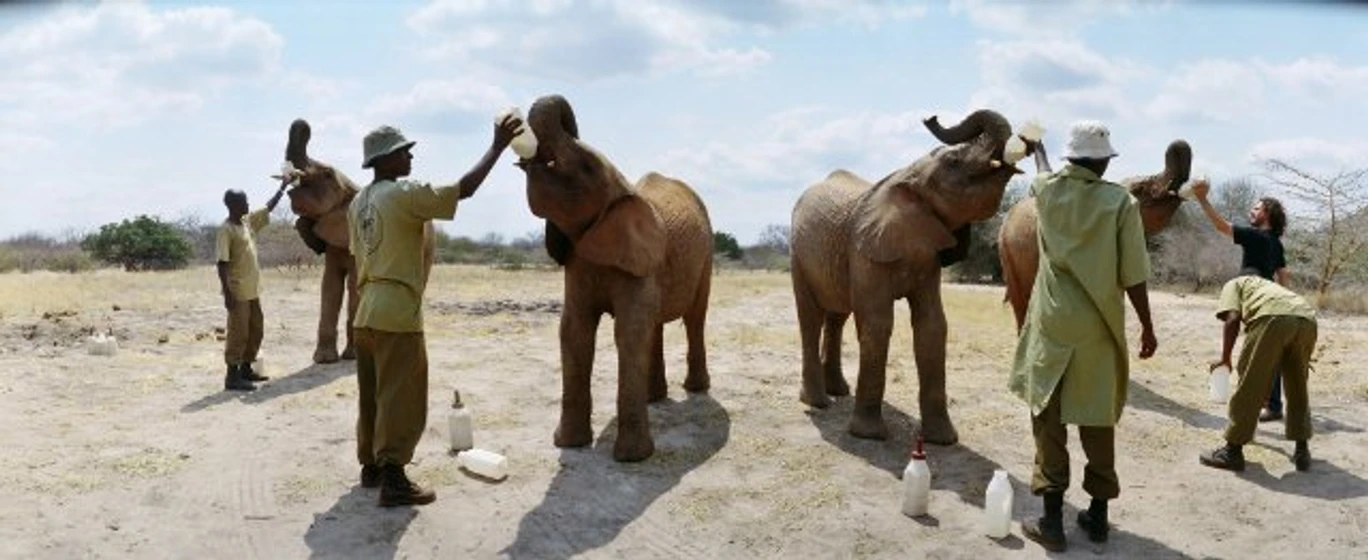 Imagen de born-to-be-wild