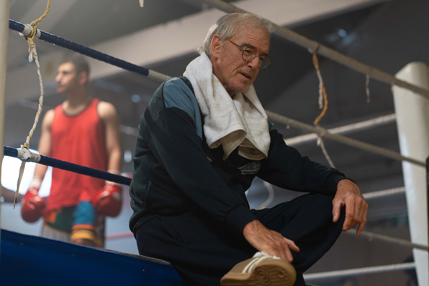 Pierce Brosnan en gigante-2026