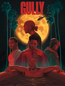 poster of movie Gully