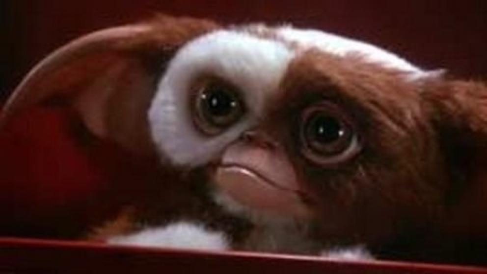 Imagen de Gremlins 2: La nueva generación (Gizmo)