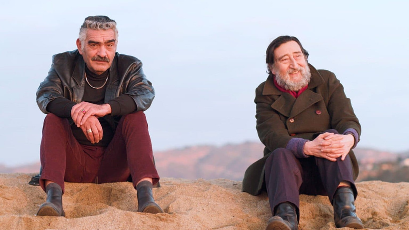 Imagen de The Wild Years