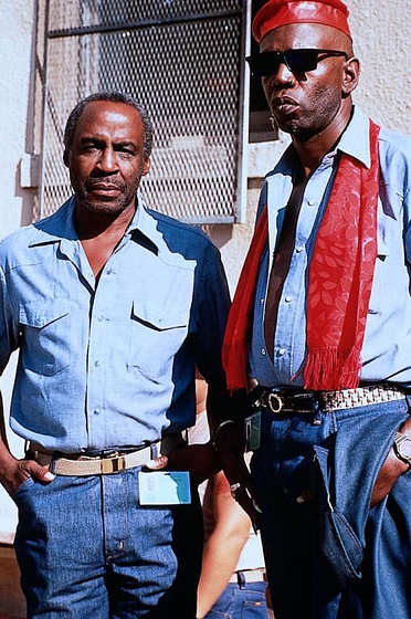 Robert Guillaume en Libertad para morir