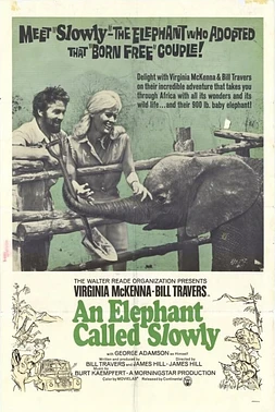 Un Elefante llamado Lento