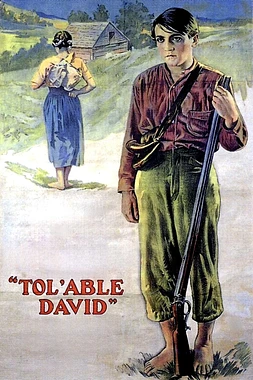 poster of movie Tol'able David