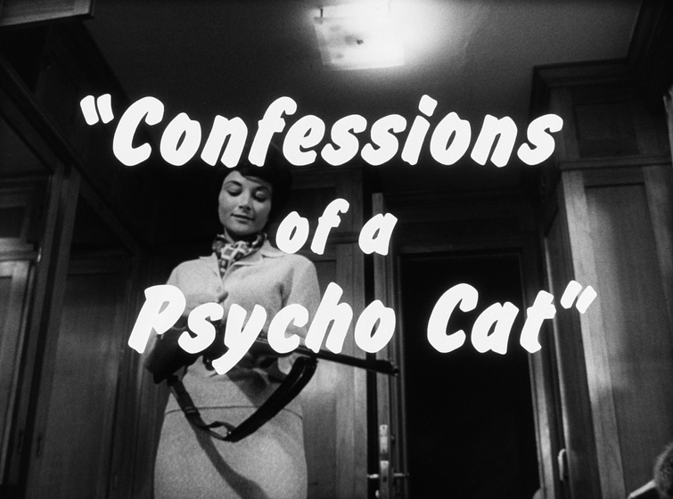 Imagen de confessions-of-a-psycho-cat