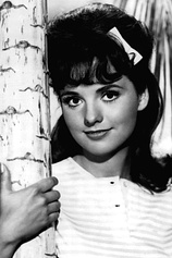 picture of actor Dawn Wells