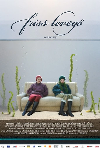 Poster de Fresh Air