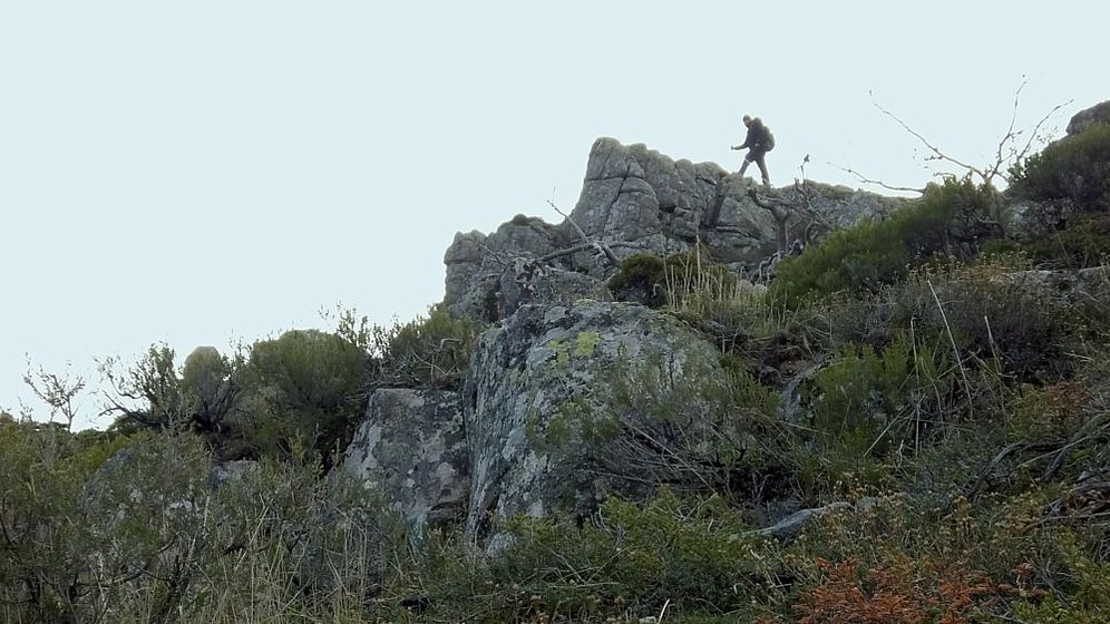 Imagen de Dear Werner