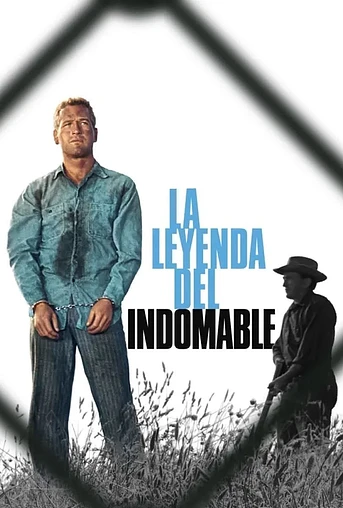 Poster de La Leyenda del Indomable
