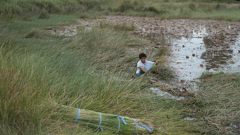 Imagen de Heart of Light: Eleven Songs for Fiji