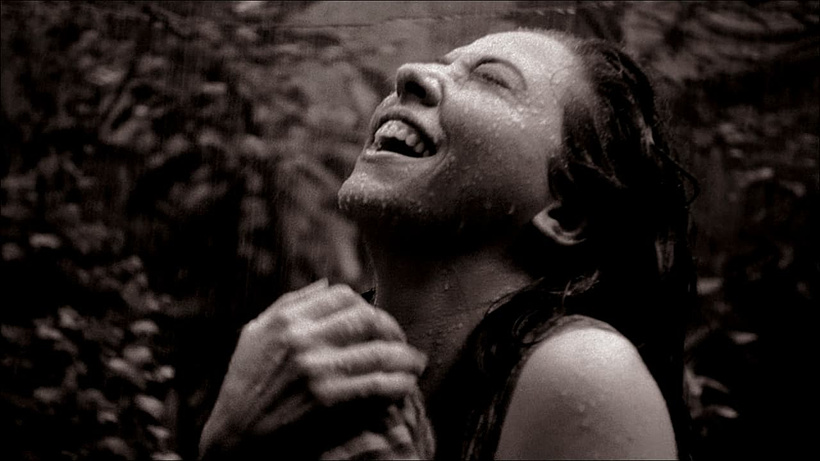 Imagen de Cinema Novo