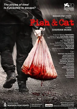 Fish & Cat