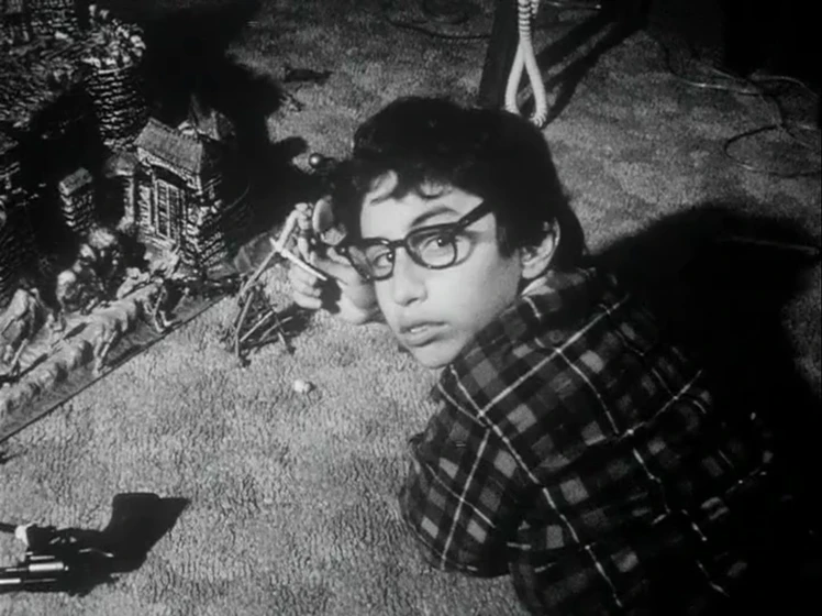 Eric Schwartzman en babysitter