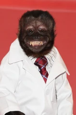 Foto de Crystal the Monkey
