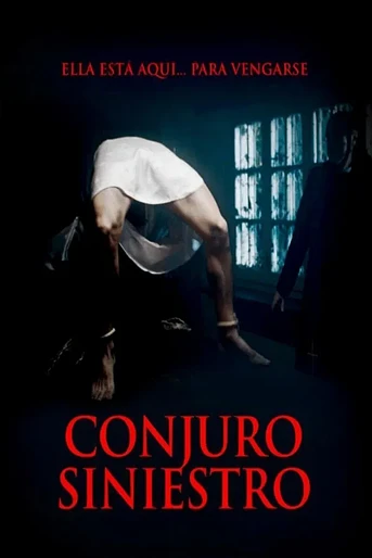Poster de El Conjuro Siniestro
