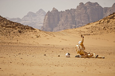 still of movie Los Últimos días en Marte