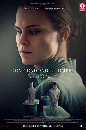 Poster de Donde caen las Sombras