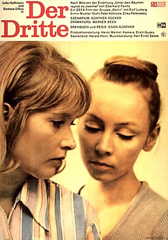 Poster de Der Dritte