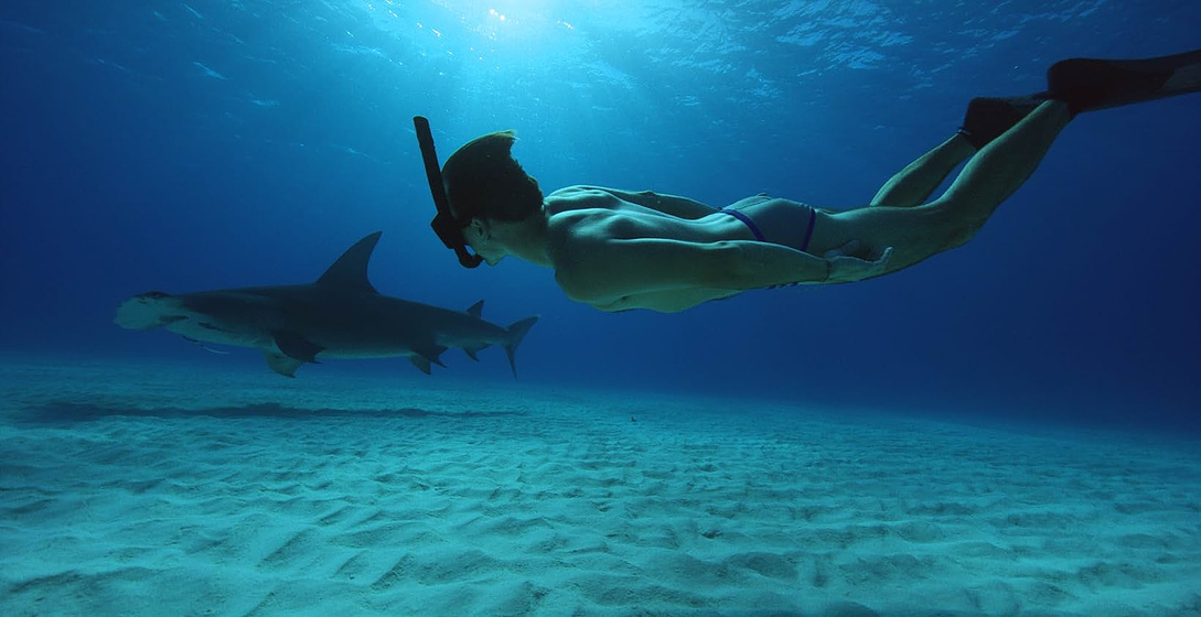 Rob Stewart [IX] en Sharkwater Extinction