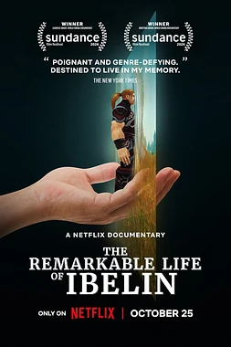 poster of movie The Remarkable Life of Ibelin