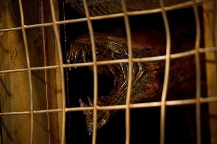 Imagen de riddick