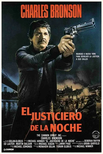 Poster de El justiciero de la noche