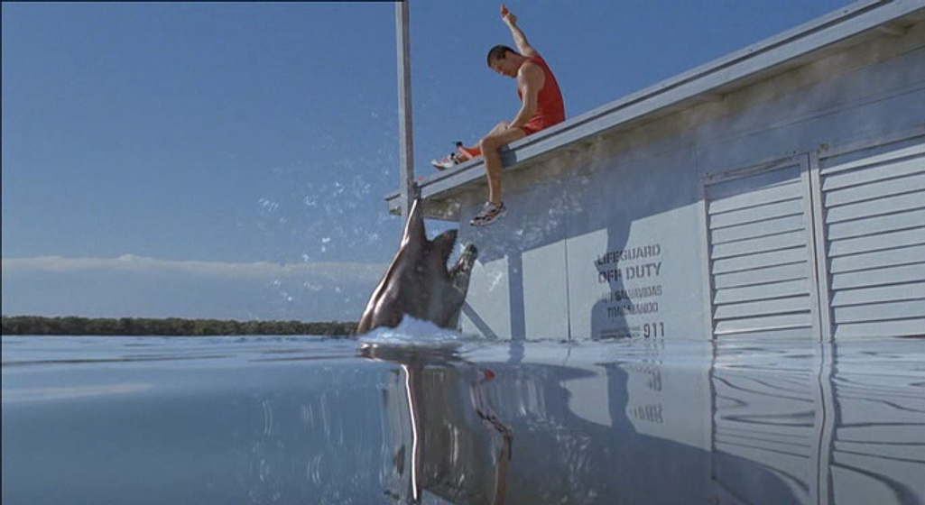 Imagen de Tiburones en Malibú
