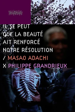 Il se peut que la Beauté ait renforcé notre Résolution
