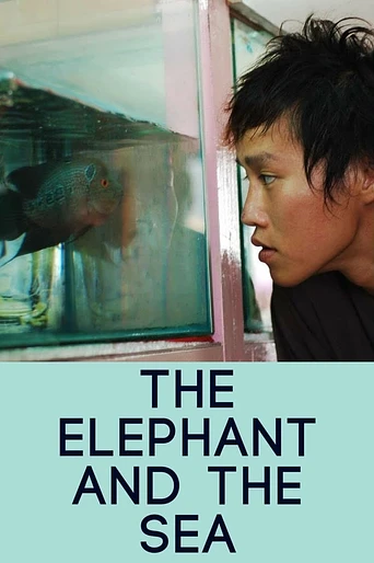 Poster de The Elephant and the Sea