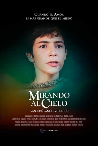 Poster de Mirando al Cielo
