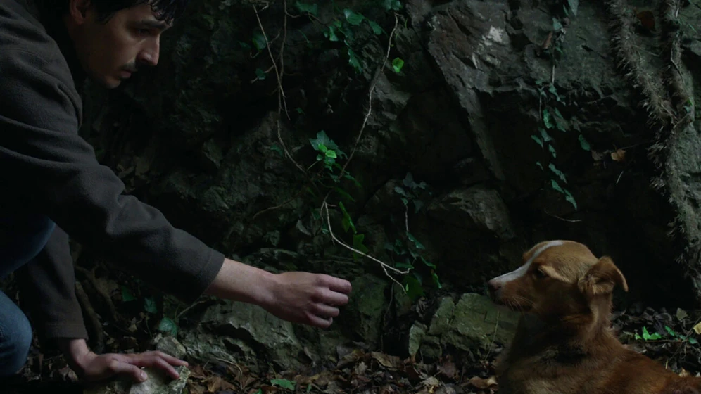 Imagen de wind-talk-to-me