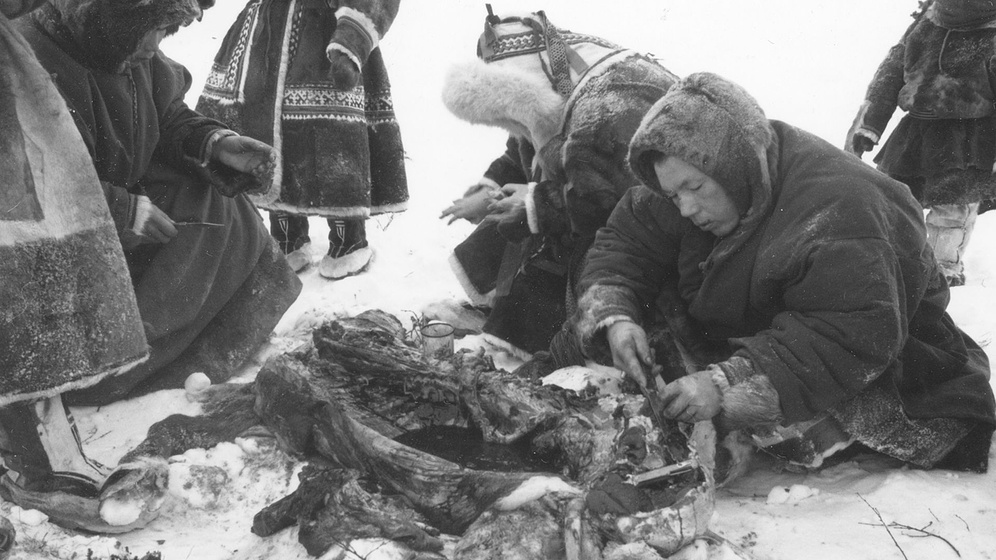 Imagen de Seven Songs from the Tundra