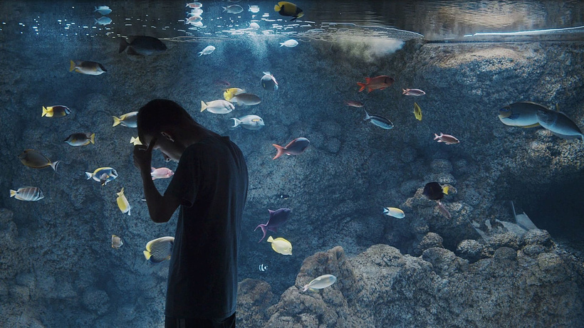 Imagen de Paradise not Lost