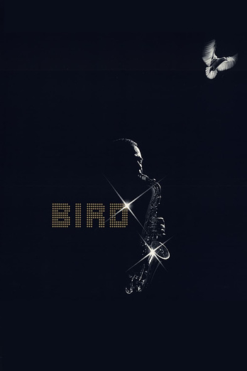 poster of content Bird