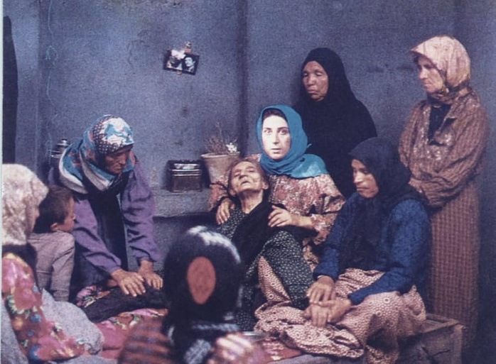Imagen de The Blue-Veiled