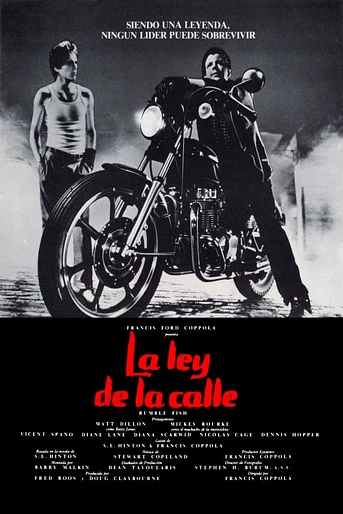 Poster de La Ley de la Calle