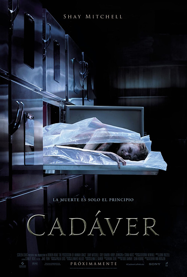 Imagen de Cadáver (Cartel español)