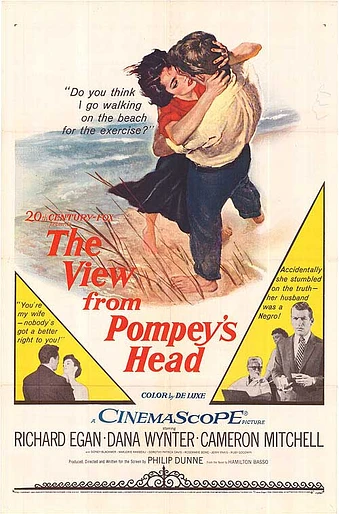 Poster de The View from Pompey's Head