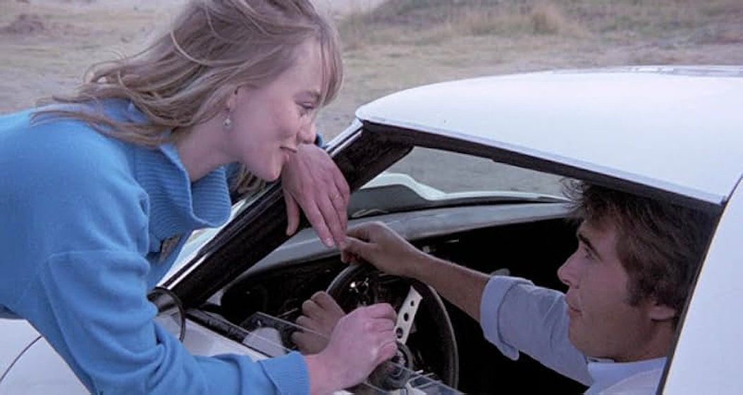 Imagen de Mad Foxes (Los Violadores)