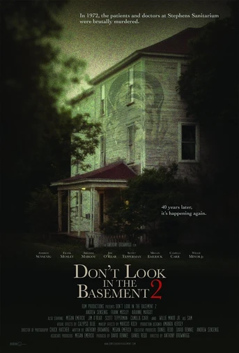 Poster de Don't Look in the Basement 2