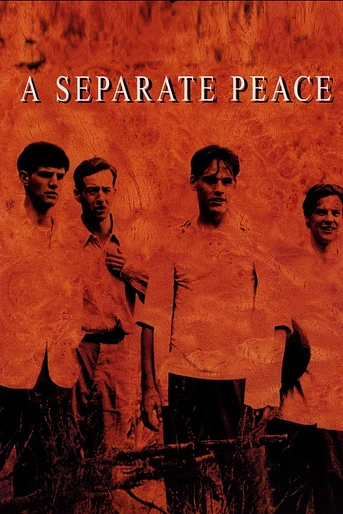 Poster de Una paz sólo para nosotros