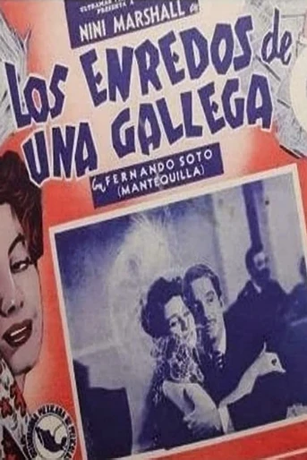 Poster de Los Enredos de una gallega