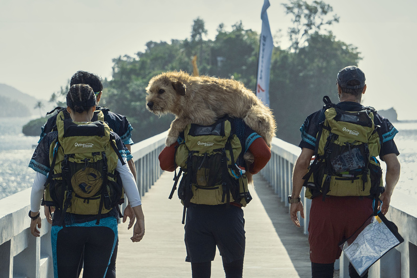 Imagen de Arthur