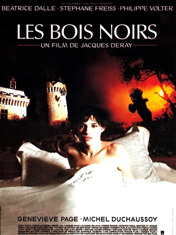 Poster de Les Bois Noirs