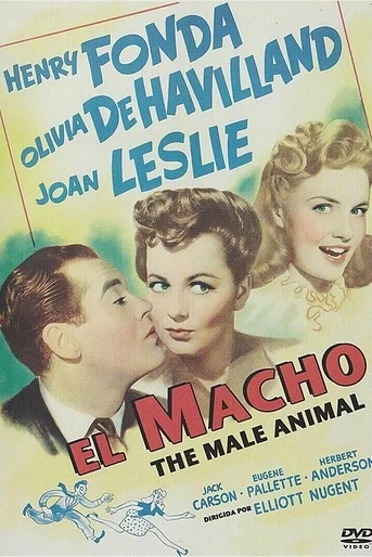 Poster de The Male Animal